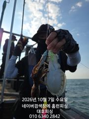 군산 대호피싱 7일 대박 쭈꾸미 마무리 소식 전합니다