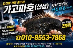 [거제] (어초여밭)감성돔 4짜~중치급들 찌맛 손맛~가고파호(8일 예약) 사진