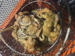 돌문어퍽~퍽마릿수굿~살림망묵~직