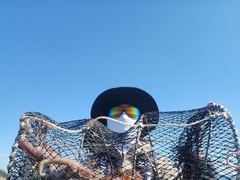 [진해] 문어,연일,kkk,중치들,140수,130수,120수,왕창,,(예…