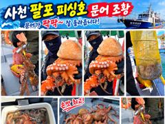 [사천] 삼천포 팔포피싱호 문어 출조 하실분 예약받습니다 사진