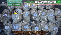 10월7일 홍원항힐링호 쭈갑 조황~!장원6.5kg오바~ 2등6.2kg 3등5.9kg 전원 손맛들 보셨네요.오늘은 조과차이가 거의 없네요^^수고들 많으셨습니다~ㅎㅎ 사진