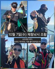 [피닉스피싱호] 10월 7일(수) 체험낚시 조황 - 순조로운 바다, 손맛도 먹거리도 기분 좋게 챙겨갑니다