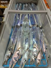 먼바다갈치 바로 이맛이죠 씨알급 갈치 실시간~