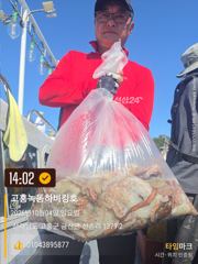 문어 사진