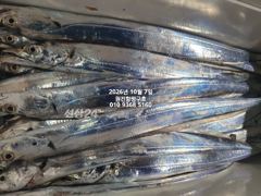내만갈치)사이즈 마릿수 두마리 토끼 다잡다~예약가능!!