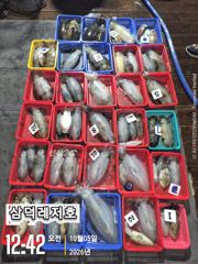 [팁런] k,k,완전무시급들,마리수(목,금,출항확정,자리여유) 사진