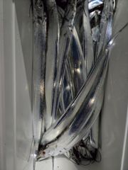 10월7일 영암 내만권 야간 갈치 조황입니다.