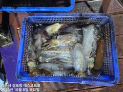 낮에는 삼치,방어에 골병들고~ 야간에는 무늬가 퍽퍽올라오네요 사진