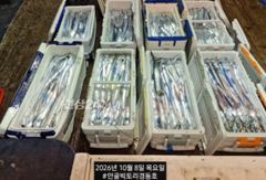 경동호 외줄16석. 만쿨만쿨입니다.3지4지알치~오늘목금토일예약가…