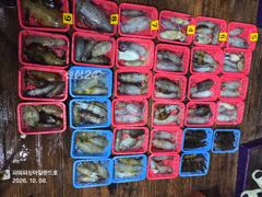 [통영] 팁런)1.2Kg외 무시 무시 무시~~(오늘 자리많아요)