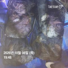 포항 종방) 제2대일호 10월 8일.출조 안내 사진