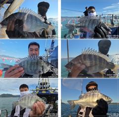 왕무시 왕고매 왕갑이까지~다 커요!!! 오늘 널널합니다!!!