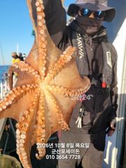8일, 군산 왕문어 ~싸이즈 확실한 덩치급 왕문어~오늘도 굿~실시간~군산낚시프라자 포세이돈호