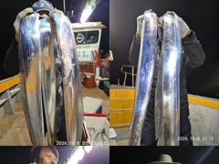 진도 << 일오삼호 >> 왕갈치 조황입니다. << 이번주 자리여유 많이 있습니다. >> 사진