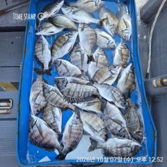 10.08 [경주] 오늘도 역시나 우당탕
