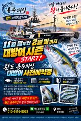 [여수,광양] 완도 대방어 지깅 사전예약11월 말부터 2월 말까지