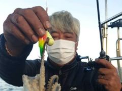 [사천] 삼천포쭈꾸미 풍년입니다