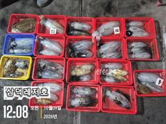 [팁런] k,무시급들,대물,갑돌이(금요일,출항확정,자리여유)