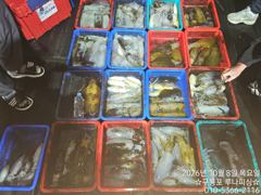 7일 수요일 야간팁런
