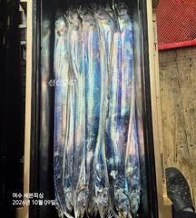 [여수,광양] [여수세븐피싱] 10/9 금요일입항 갈치조황입니다//일요일자리여…