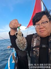 9일, 군산 쭈구미랑,갑이랑 같이 나와요~ 잘 나오고 있어요~ 실시간~군산낚시프라자 스마트호