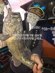 9일,"대광어"대박시즌~싸이즈 좋은 대광어들~~참돔,우럭등~ 실시간~군산낚시프라자 범고래호