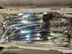[진해] (먼바다)금토일 마감임박 4지3지 만쿨 왕갈치 터졌어요~수달호 사진