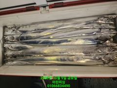 [여수 마린피싱] 좋은기상에 대박 노리고~ 갈치출조를~ 나갔습니다!!!! 010-6683-4490