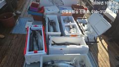 간절곶피싱 대삼치 ~느나느나 대박