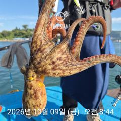 씨알 좋은 유신호 문어!