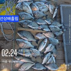병산 감성돔4짜외 마리수 선상배 &선외기흘림