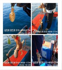 [사천] 왕쭈꾸 장원116수 {선비,할인},토,일,자리여유 예약중