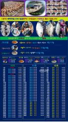 ♥붉바리조황 이정도는 잡아봐야지요 대박 조황입니다[2026년10월09일 ] ◎ 해마루호가 뜨는이유? 조황때문이죠 ◎ 핵심포인트: 바로진입.. 바로히트.. ◎ 차원이 다른 조황으로... 사진