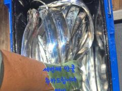 내만갈치 느나느나 쿨러가득~ 사이즈 마리수 굿굿~