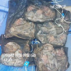 포항.종방)제2대일호 10월 9일 문어조황