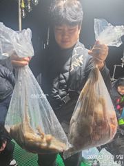 고흥 은비호 10월 09일 야간 문어낚시 조황 사진