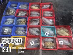 [팁런] k, 무시급들,들(일요일,출항,예약중)