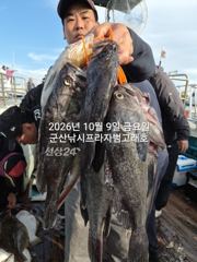 9일,"대광어"날마다~대박시즌~싸이즈 좋은 대광어들~~참돔,우럭등~~군산낚시프라자 범고래호 사진