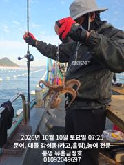 [통영] 통영 금정호 오전문어 아침부터 묵직한 손맛 좋습니다 오늘 오후,…