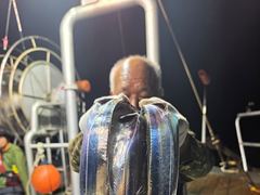 와우 씨알좋아요 마릿수도~새벽으로가면서 3/4지까지/오늘예약가능