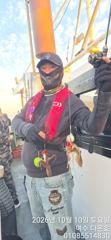 여수 쭈.갑 갑오징어 쌍걸이