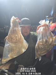 통영 송현호))문어밭,갑돌이밭에서 마리수 뽑기~