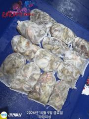 9일(야간문어) 토.일.월.예약가능 쭈욱무너잡으로갑니다 사진