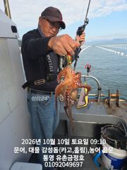 [통영] 통영 금정호 대물문어선상 묵직하게 손맛보고 왔습니다 내일 자리있…