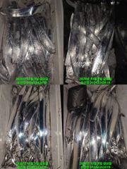 내만 갈치 마릿수 공격 매일출조 예약가능