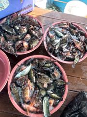 1시간전 [사천] 흘림찌낚시 11일 4자리남음 가실분 연락주세요