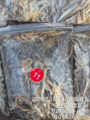 10일 오후반
