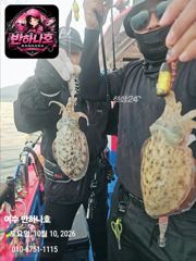 [여수반하나호] 10일 갑오징어!/11일(일요일)1자리여유!전투!!