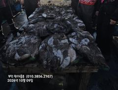 10월9일 부안 한아름호 갑오징어